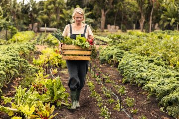 Perte de récolte des agriculteurs : des dégrèvements et des délais de paiement pour la taxe foncière